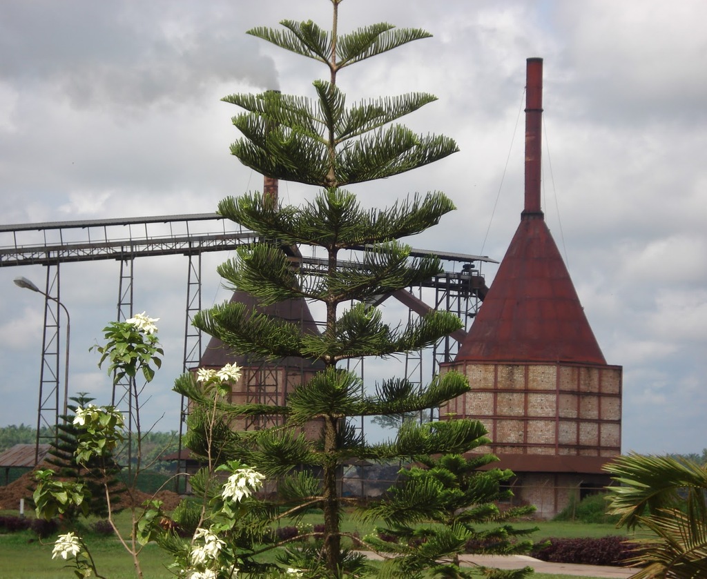 Certificate Of Origin (COO)